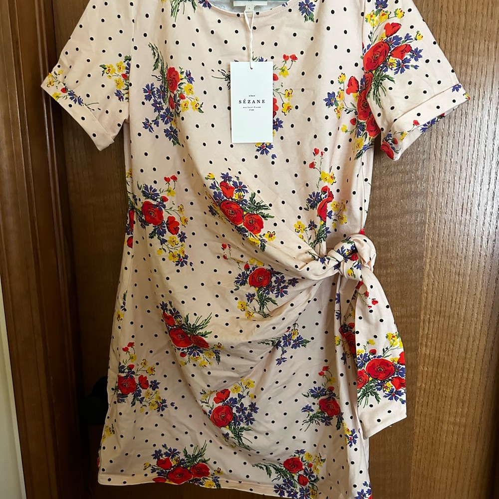 Sézane Poppy Floral Polka Dot Dress